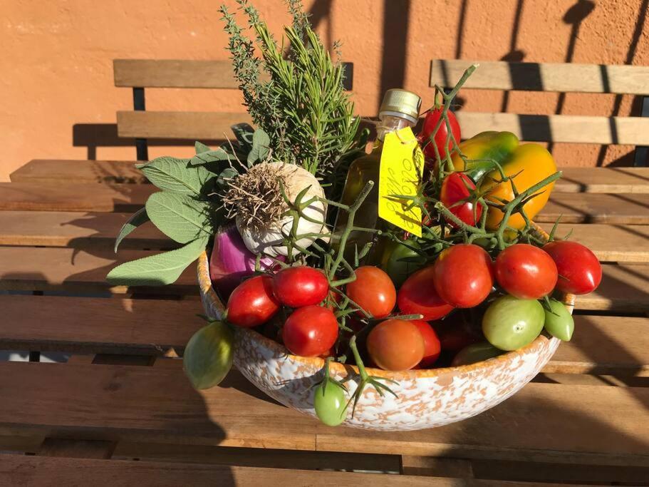 Agriturismo Il Sorbino - Appartamento Da Cocca Pian d'Alma Kültér fotó