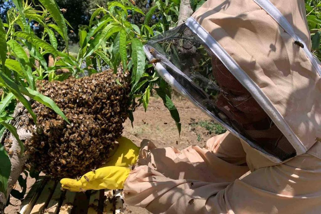 Agriturismo Il Sorbino - Appartamento Da Cocca Pian d'Alma Kültér fotó