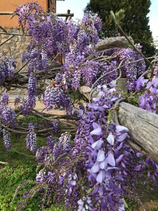 Agriturismo Il Sorbino - Appartamento Da Cocca Pian d'Alma Kültér fotó