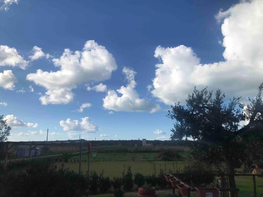 Agriturismo Il Sorbino - Appartamento Da Cocca Pian d'Alma Kültér fotó