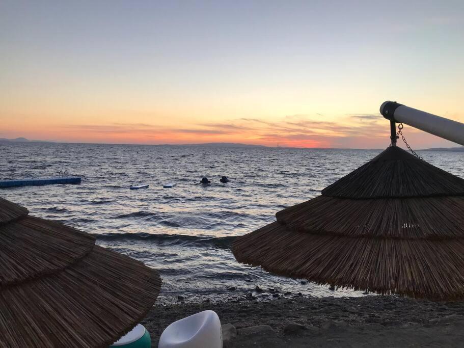 Agriturismo Il Sorbino - Appartamento Da Cocca Pian d'Alma Kültér fotó