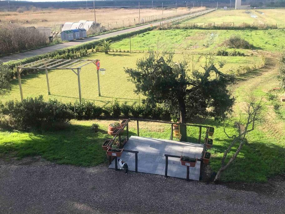 Agriturismo Il Sorbino - Appartamento Da Cocca Pian d'Alma Kültér fotó